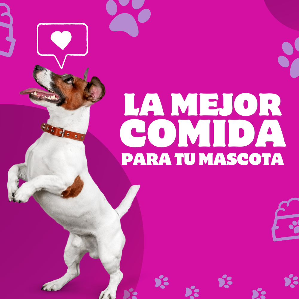 MISIÓN - 2025-09-10T161709.382